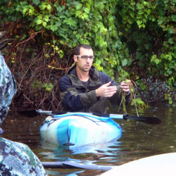 A man in a blue kayak shows an aquatic plant to a group of visitors.