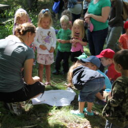A woman and a group of young children look at insects.